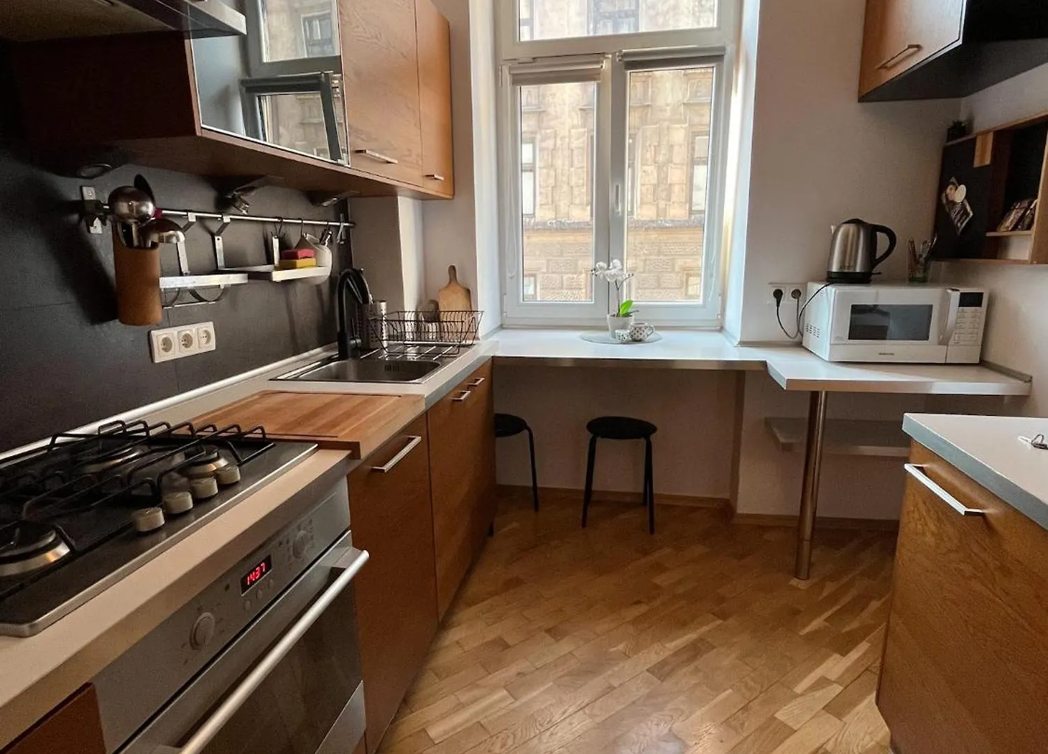 Spacious Downtown Apartment Krakow